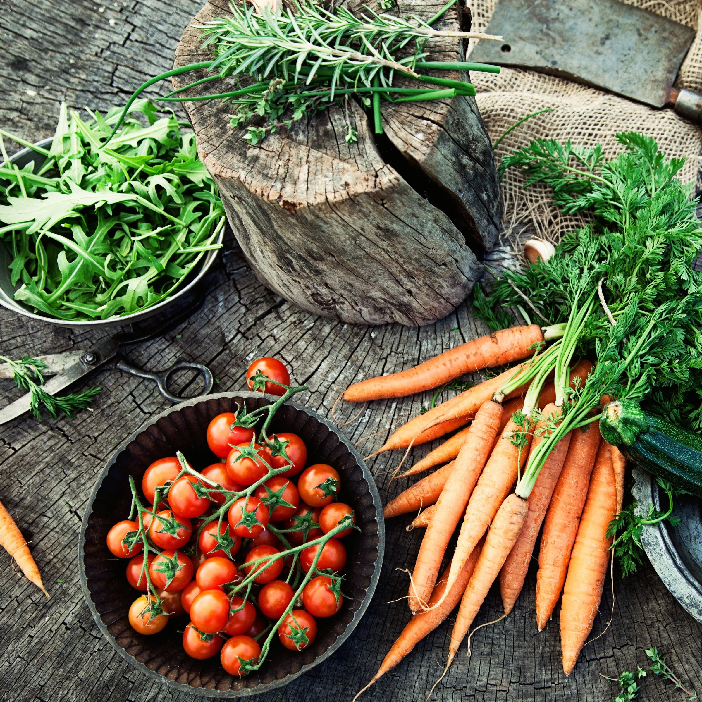 Vegetable Plants