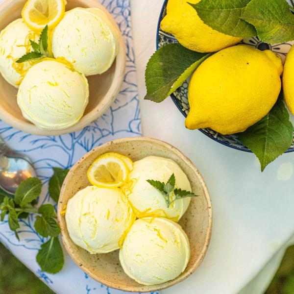 Acqua Garden Herbs & Spices Lemon Mint