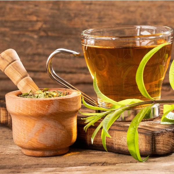 Acqua Garden Herbs & Spices Lemon Verbena