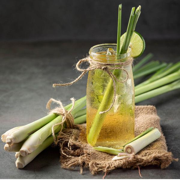 Acqua Garden Herbs & Spices Lemongrass