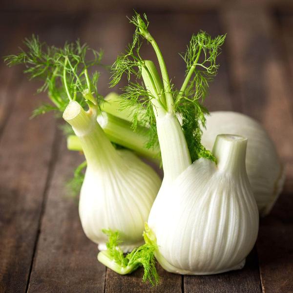 Acqua Garden Outdoor Plants Fennel