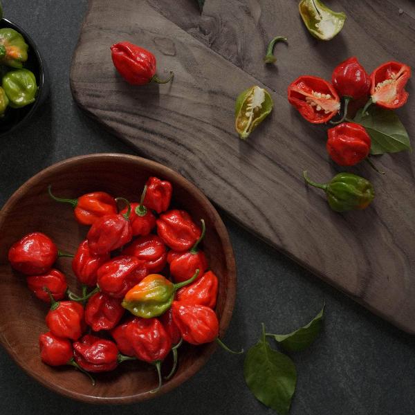 AcquaGarden Chilli 'Scotch Bonnet'