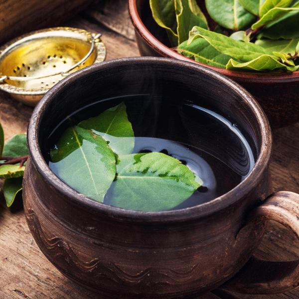 AcquaGarden Kitchen Bay Leaf