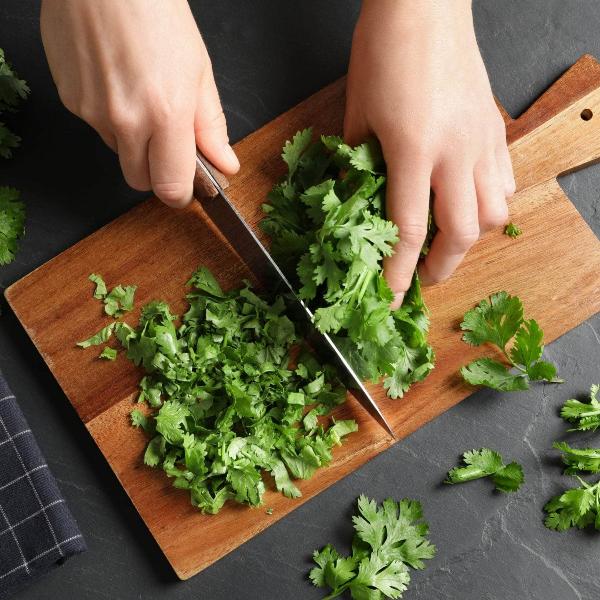 AcquaGarden Outdoor Plants Coriander