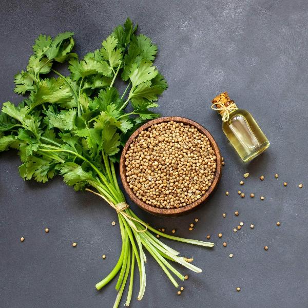 AcquaGarden Outdoor Plants French Parsley