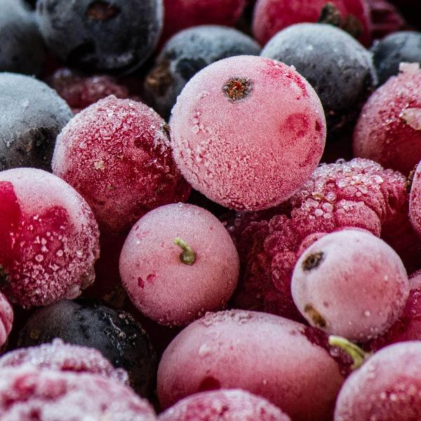 AcquaGarden Outdoor Plants Redcurrant 'Rovada'