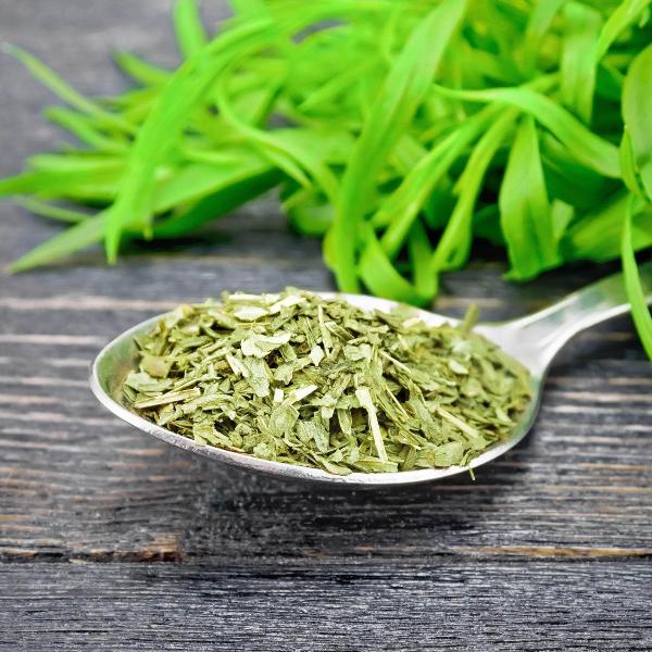 AcquaGarden Outdoor Plants Russian Tarragon