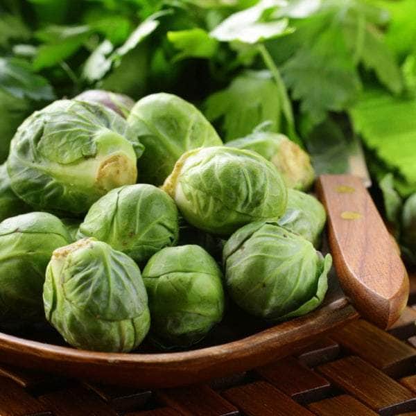 AcquaGarden Plants Brussels Sprouts