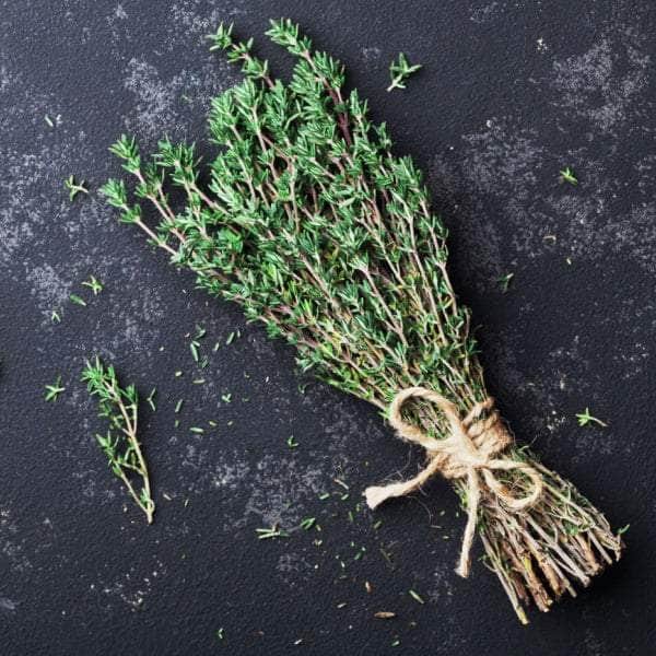 AcquaGarden Plants Herb Full Plants Multi-Pack 4 – Mixed Varieties - 6 x Full Plants