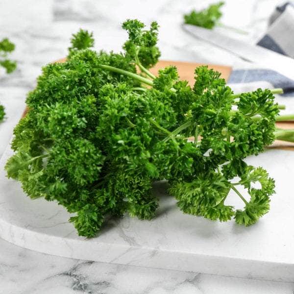 AcquaGarden Plants Herb Plug Plants Multi-Pack 1 – Mixed Varieties - 24 x Plug Plants