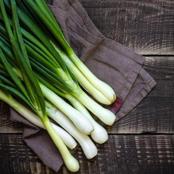 AcquaGarden Plants Spring Onion
