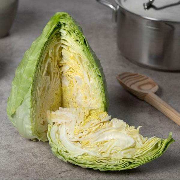 AcquaGarden Plants Vegetable Plug Plants Multi-Pack 1 – Mixed Varieties - 24 x Plug Plants