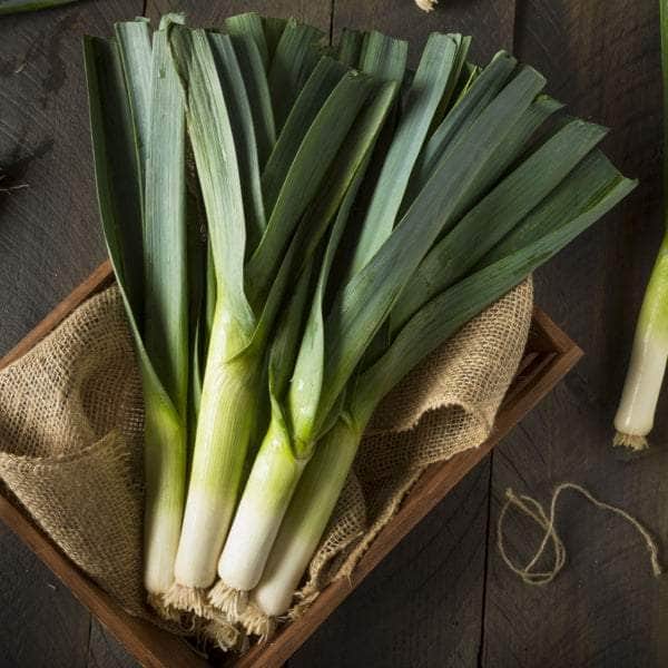 AcquaGarden Plants Vegetable Plug Plants Multi-Pack 2 – Mixed Varieties - 24 x Plug Plants