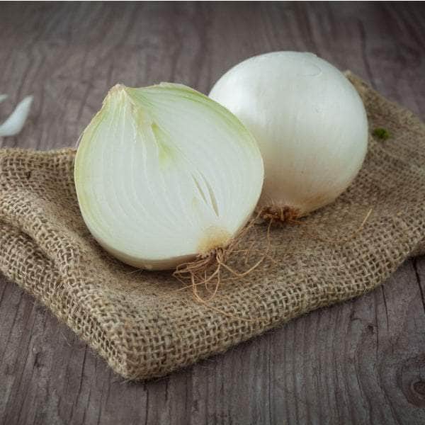 AcquaGarden Plants Vegetable Plug Plants Multi-Pack 2 – Mixed Varieties - 24 x Plug Plants