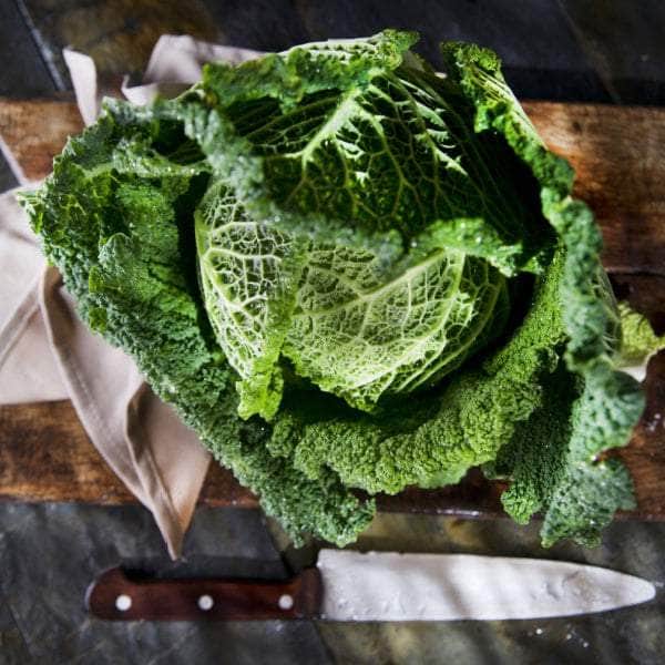 AcquaGarden Plants Vegetable Plug Plants Multi-Pack 4 – Mixed Varieties - 24 x Plug Plants