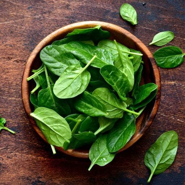 AcquaGarden Plants Vegetable Plug Plants Multi-Pack 4 – Mixed Varieties - 24 x Plug Plants