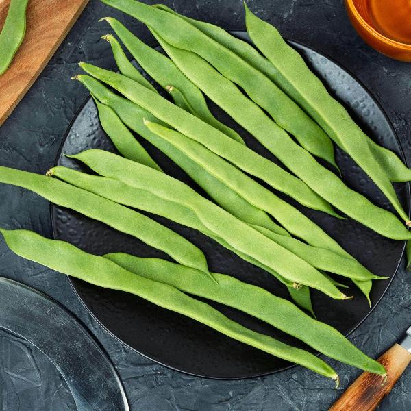 Seminte PHASEOLUS coccineus-Runner Bean-Lady Di (Stringless)-Fasole de teci lungi, cu flori Seminte PHASEOLUS coccineus-Runner Bean-Lady Di (Stringless)-Fasole de teci lungi, cu flori