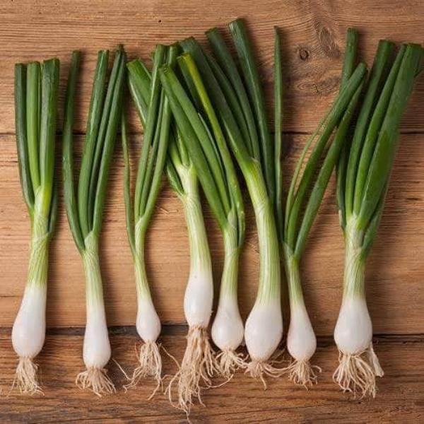 AcquaGarden Salad Onion 'White Lisbon'