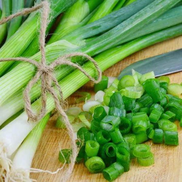AcquaGarden Salad Onion 'White Lisbon'