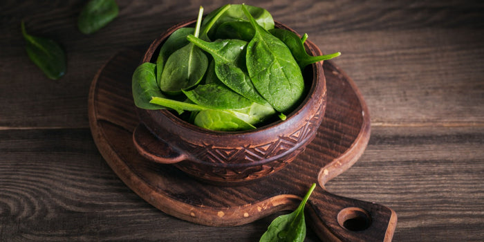 The Comprehensive Guide to Growing Spinach Plants