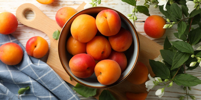 The Comprehensive Guide to Growing and Caring for Apricot Trees
