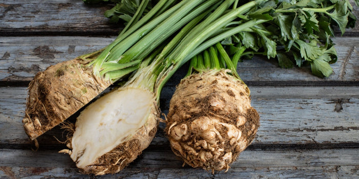 Mastering the Art of Growing Celeriac