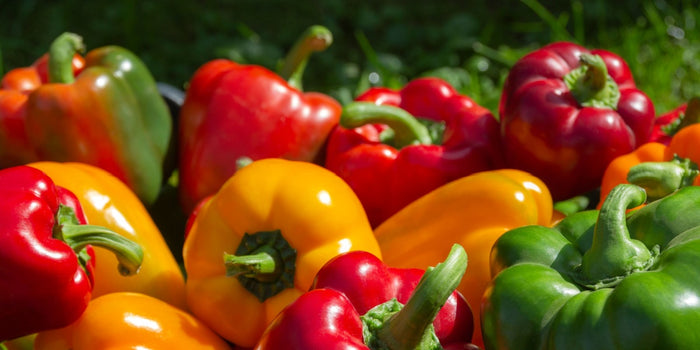 The Ultimate Guide to Growing Sweet Peppers