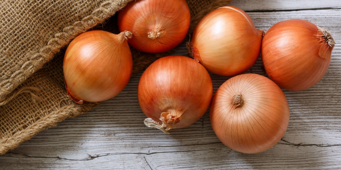 A Step by Step Guide to Growing Onions