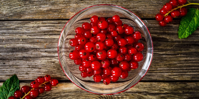 Mastering the Art of Growing Redcurrant Plants