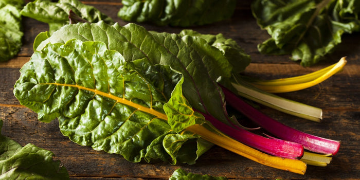 The Ultimate Guide to Growing Chard