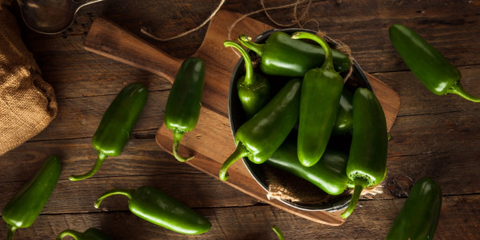 The Ultimate Guide to Growing Chilli Plants