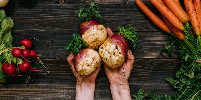 The Comprehensive Guide to Growing Swede Plants