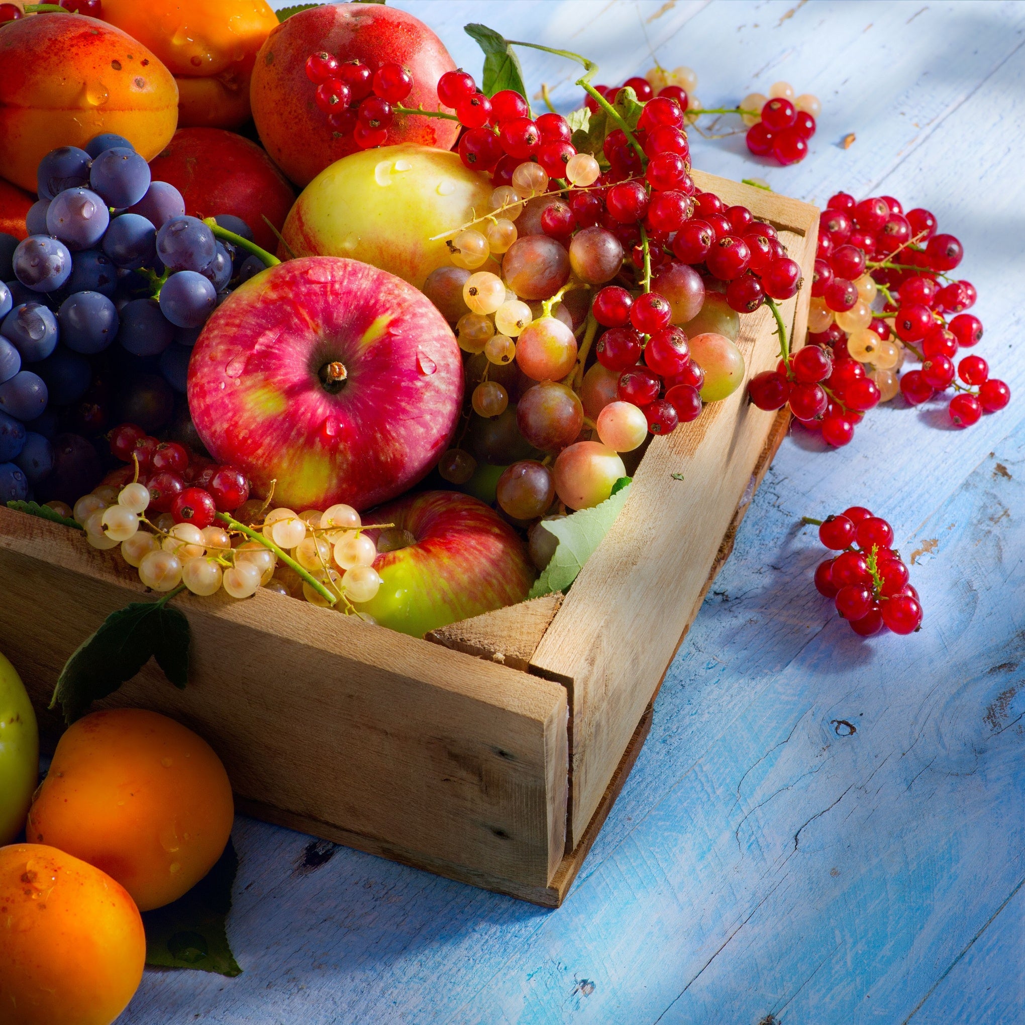 Fruit Plants