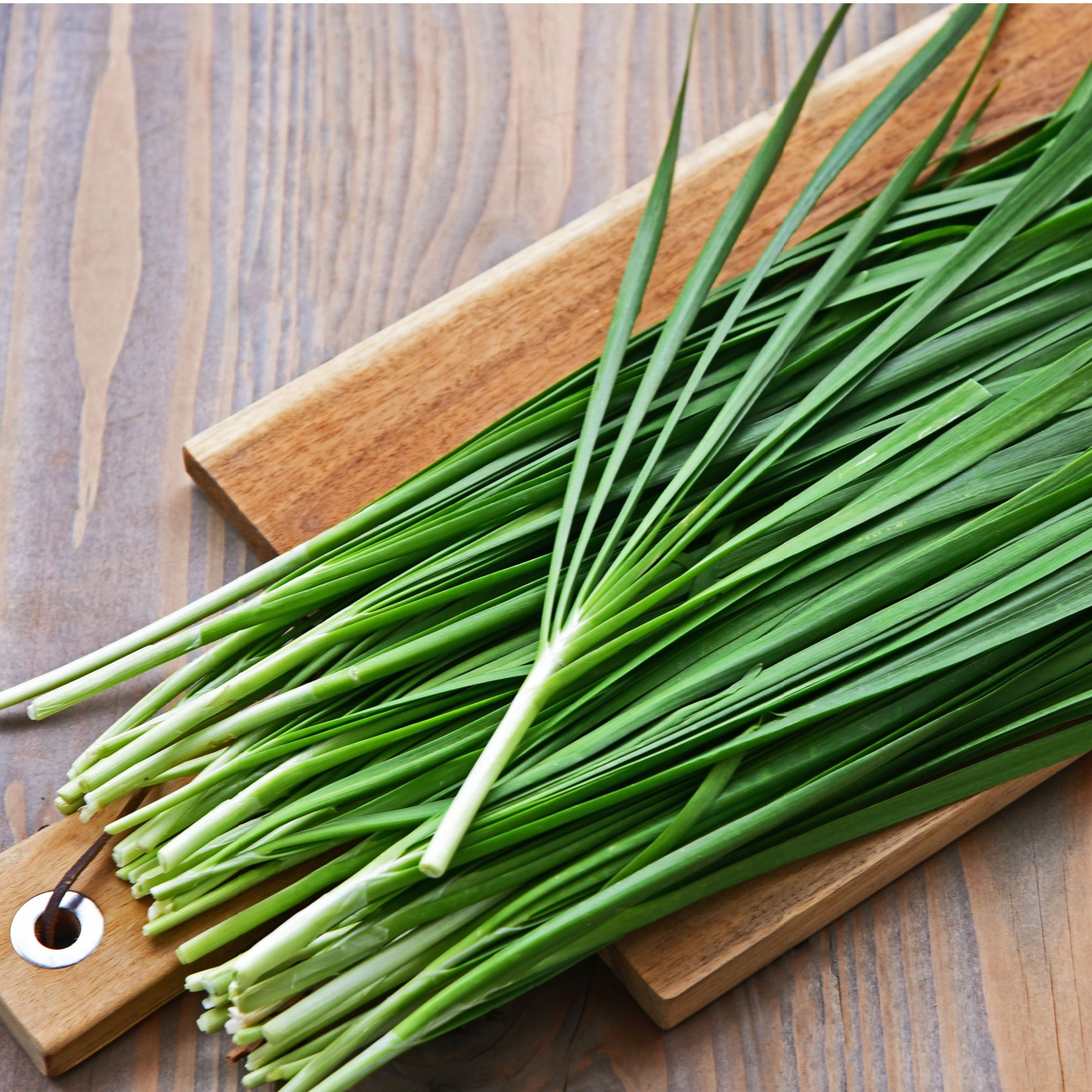 Chives & French Tarragon - Herb Plants – AcquaGarden
