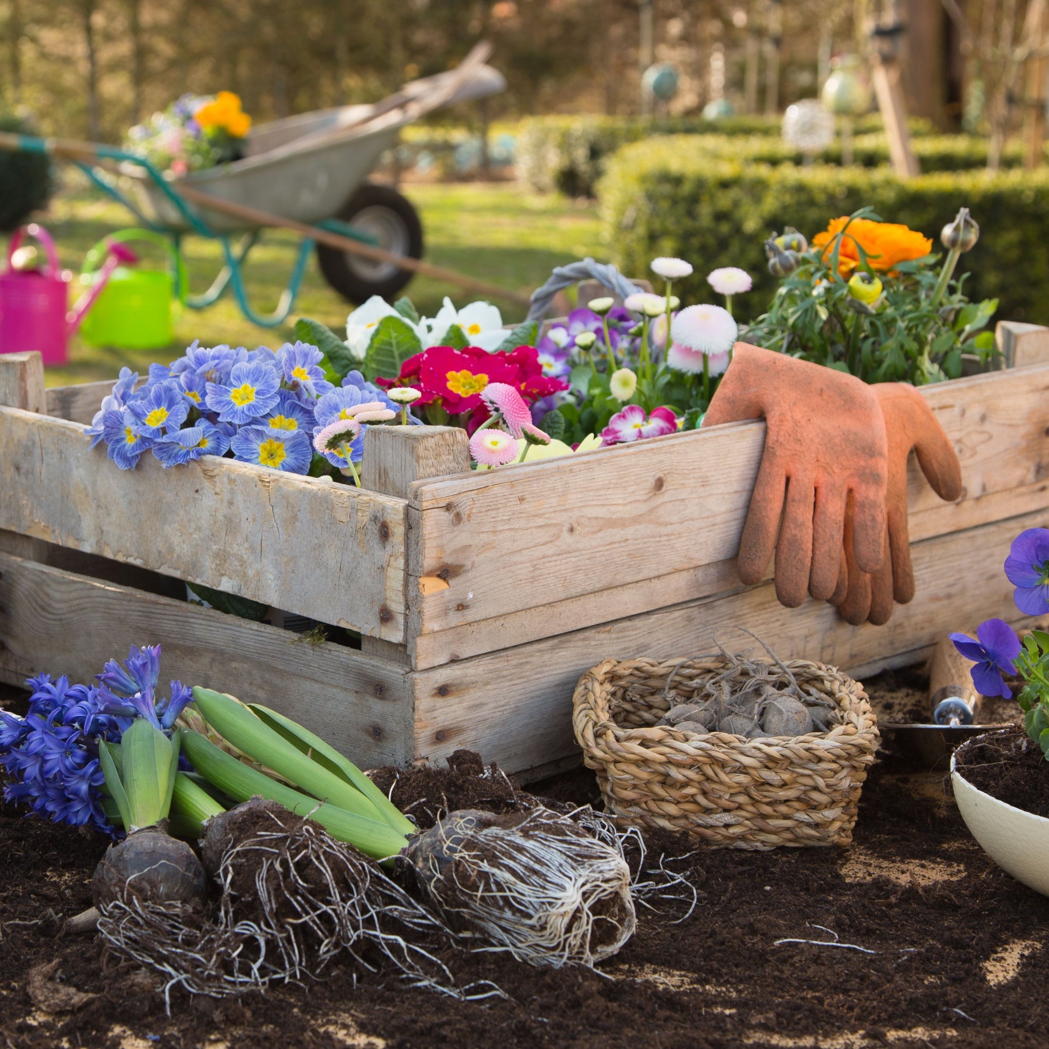 Small Space Garden