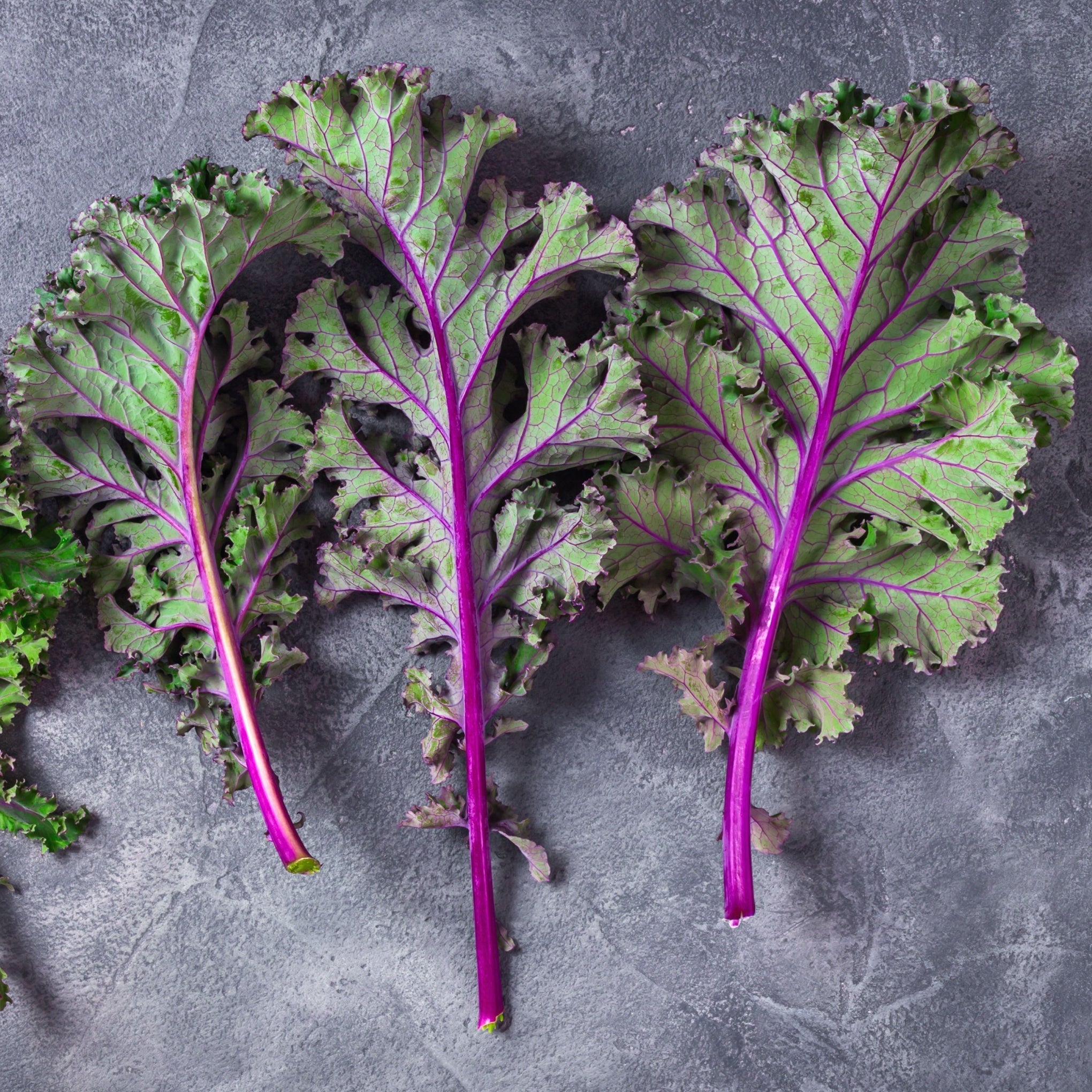 Kale & Chards - Vegetable Plants