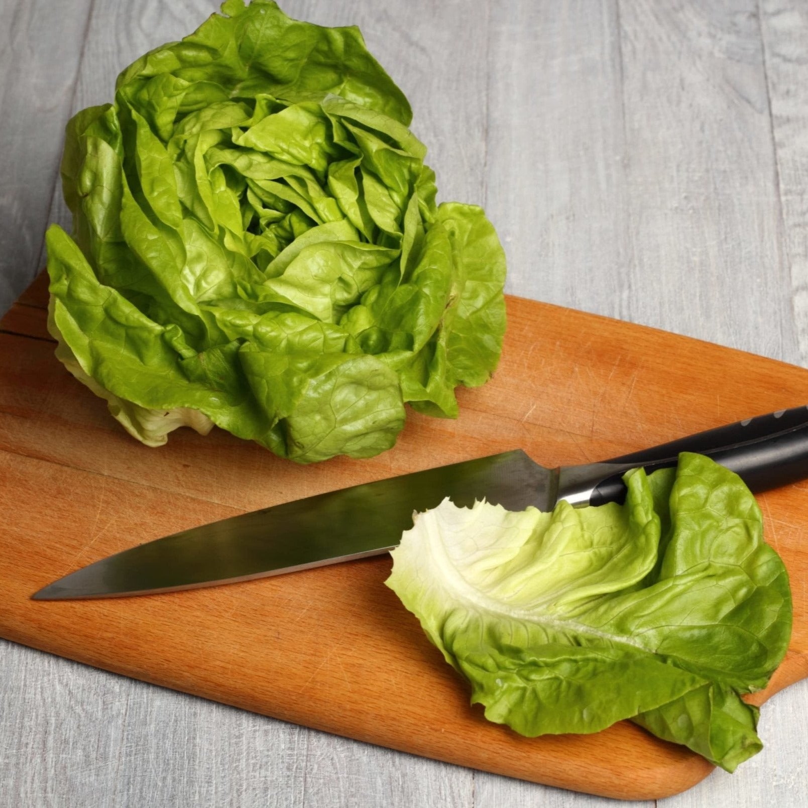 Lettuces & Salads