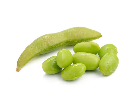 Broad Beans 'Dreadnought' - 6 x Full Plant Pack