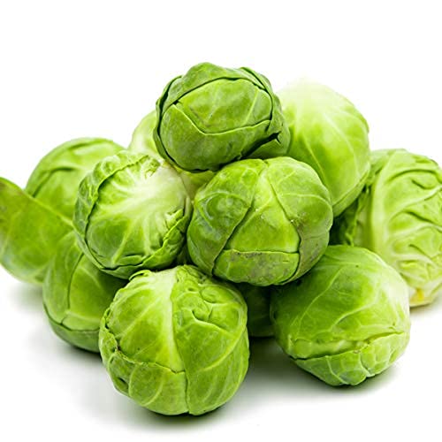 Brussels Sprouts 'Trafalgar' - 12 x Large Plant Pack