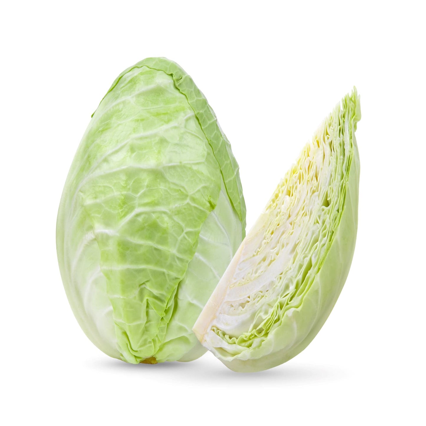 Cabbage 'Duchy' - 12 x Full Plant Pack