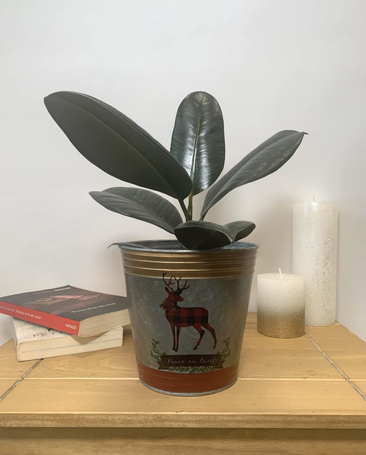 Christmas Houseplant Planter - Tartan Reindeer Planter - 15cm