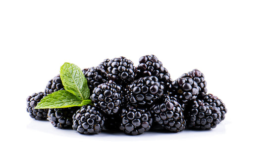 Fruit Plants - Blackberry 'Asterina' - 2 x Full Plants in 3 Litre Pots