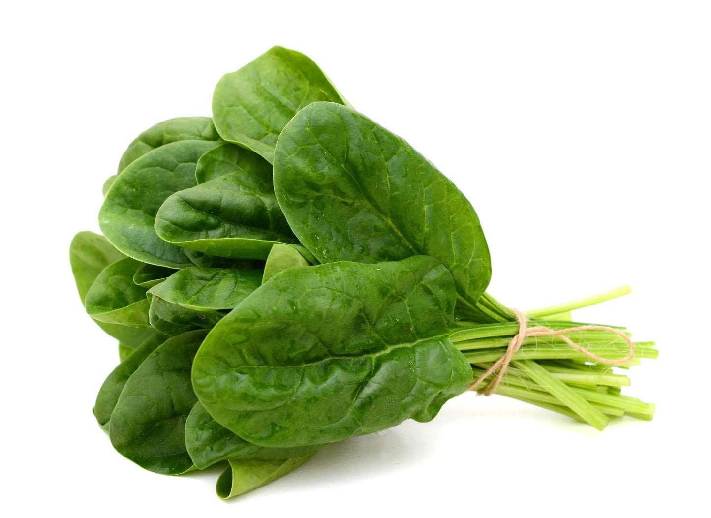 Spinach 'Renegade' - 12 x Plug Plant Pack