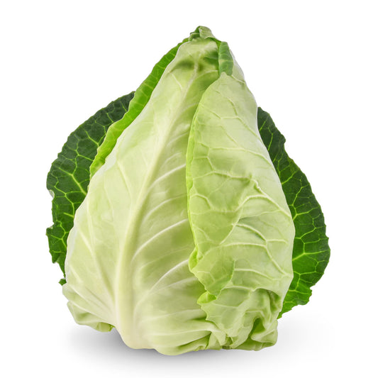 Cabbage 'Durham Early' - 18 x Plug Plant Pack
