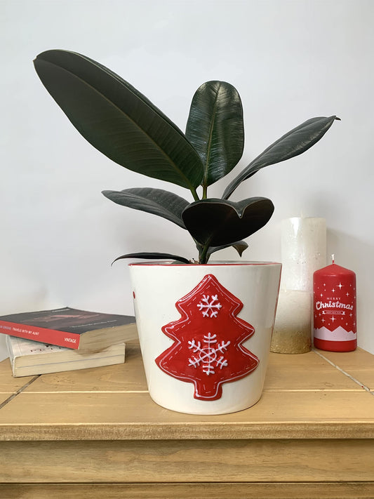 Christmas Houseplant Planter - 15cm Pot (White + Red)