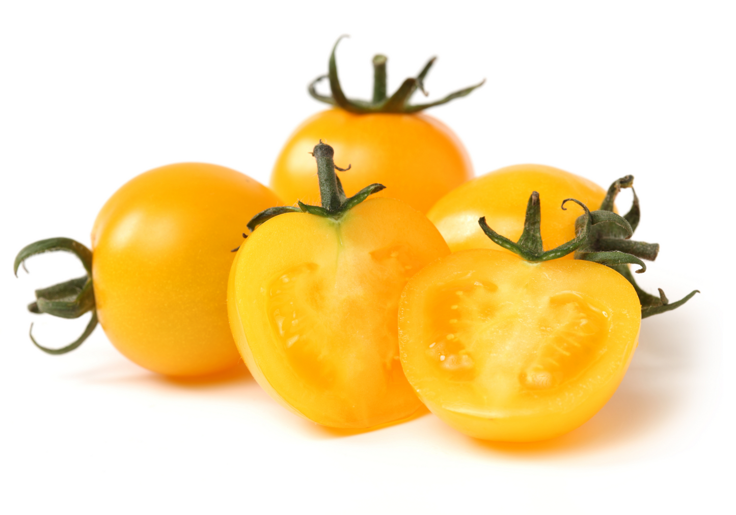 Heritage Tomato Plants - 'Honeycombe' - 3 x Large Plants in 10.5cm Pots