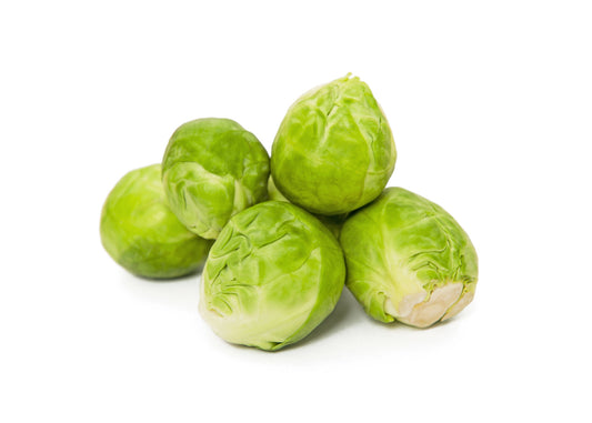 Brussels Sprouts 'Trafalgar' - 12 x Full Plant Pack