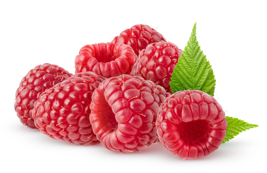 Fruit Plants - Raspberry 'Joan J' - 3 x Full Plants in 2 Litre Pots