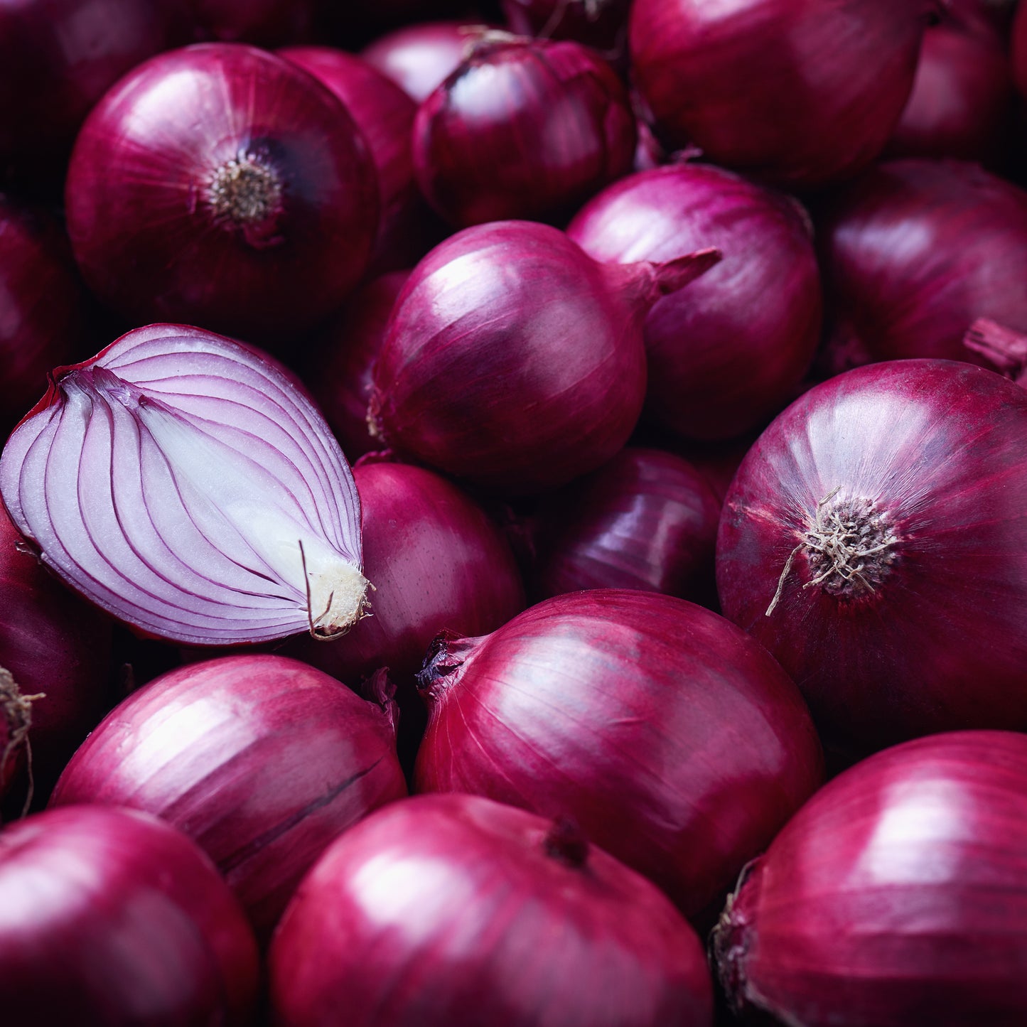 Red Onion - 36 x Full Plant Pack