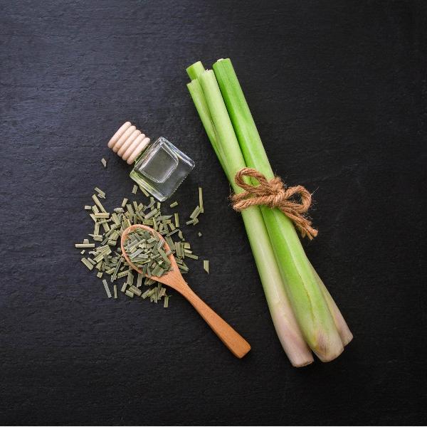 Acqua Garden Herbs & Spices Lemongrass